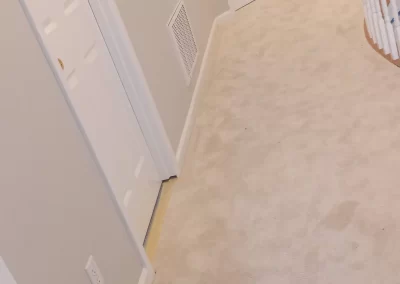 Professional House Painting