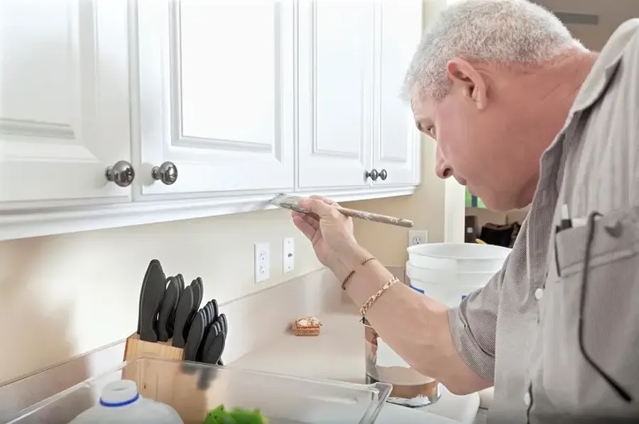 Tips For Preparing Cabinets Before A Fresh Coat Of Paint in Everett, WA Tips For Preparing Cabinets Before A Fresh Coat Of Paint in Everett, WA